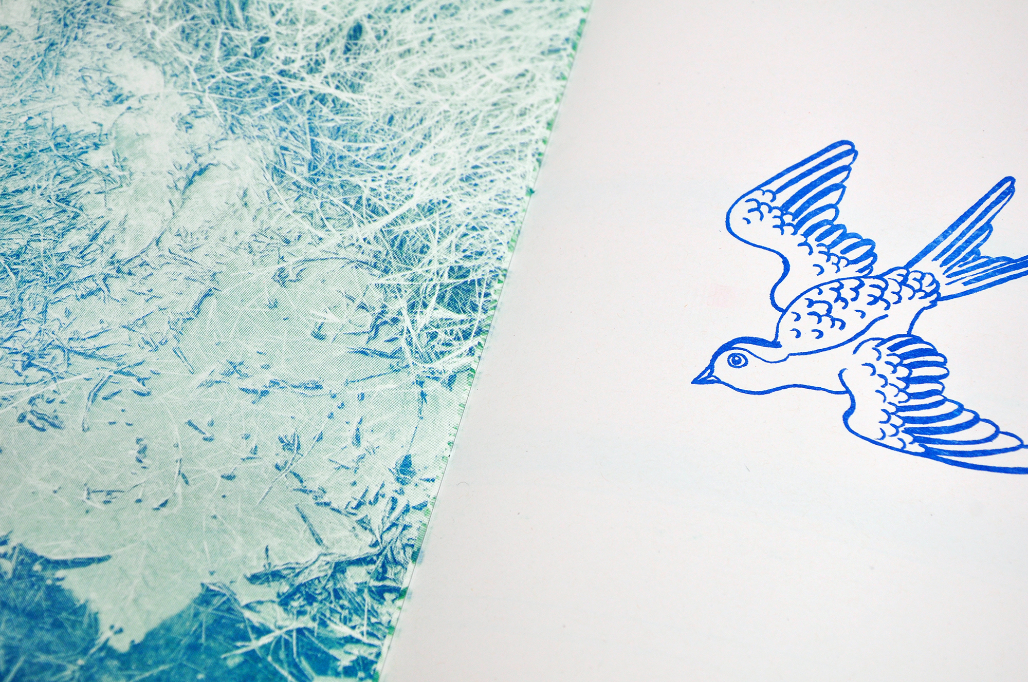 Perfetto, ma per puro caso (10 maggio – 2 giugno 2024)