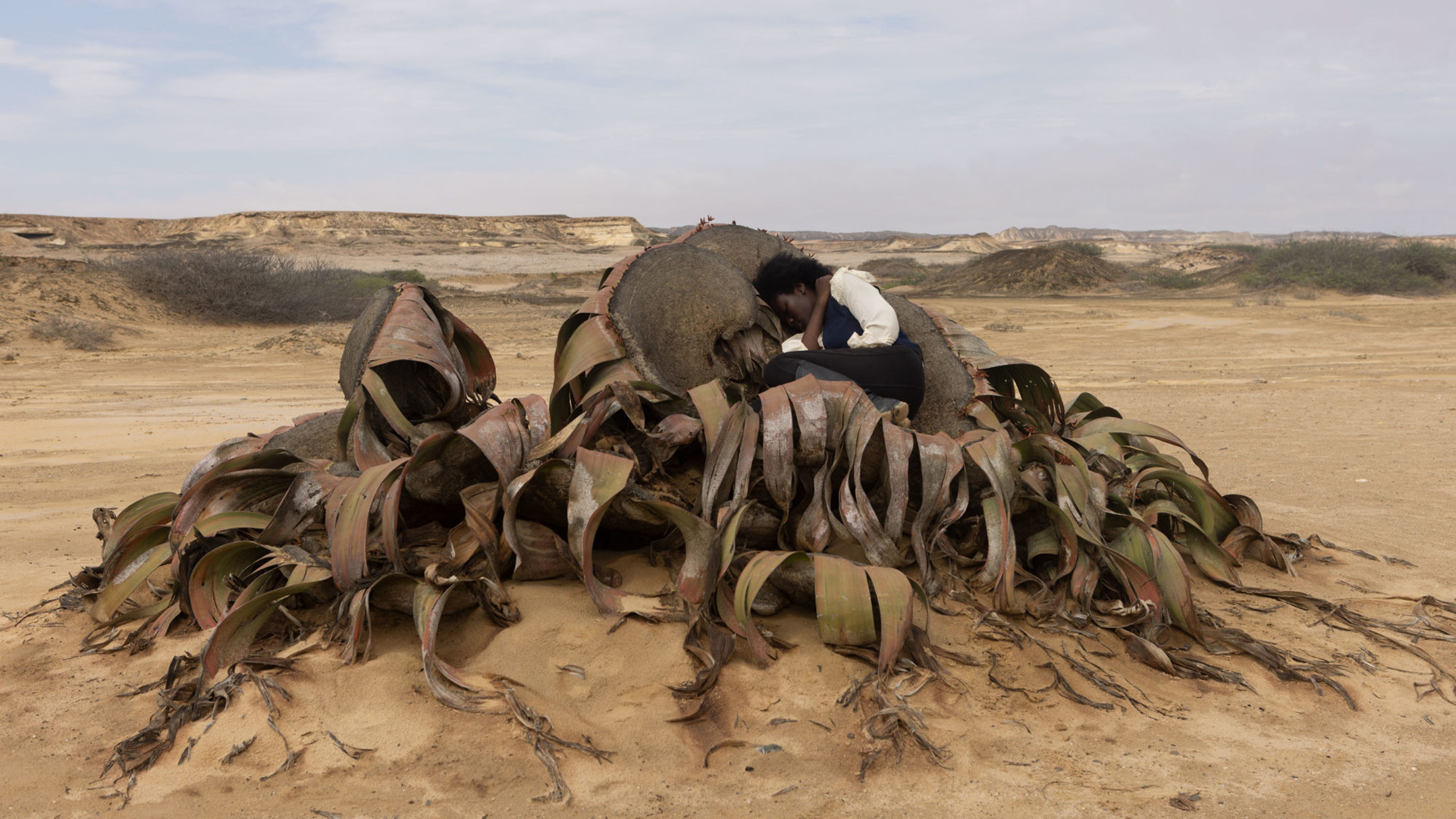 As if the world had no West (2 maggio – 2 giugno 2024)