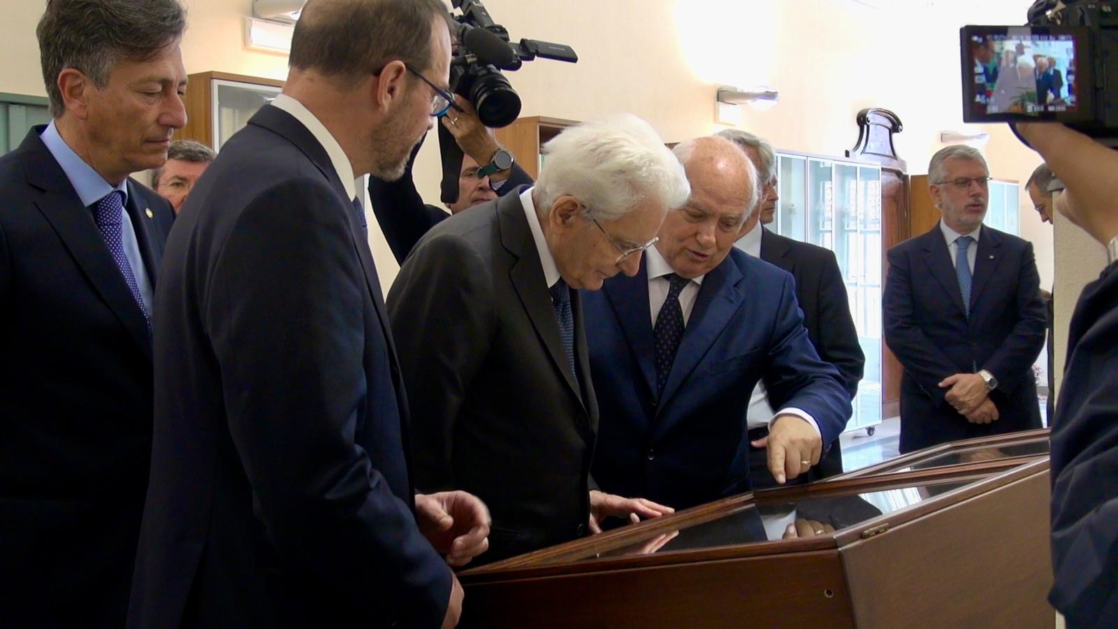 Dalle radici, l’albero (25 giugno – 30 luglio 2024)