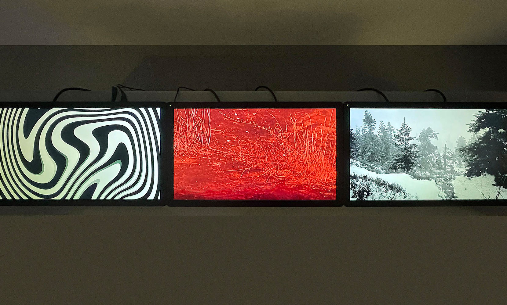 SINS AND CAPITALS, or a certain mist for empty spaces (6 -30 marzo 2025)